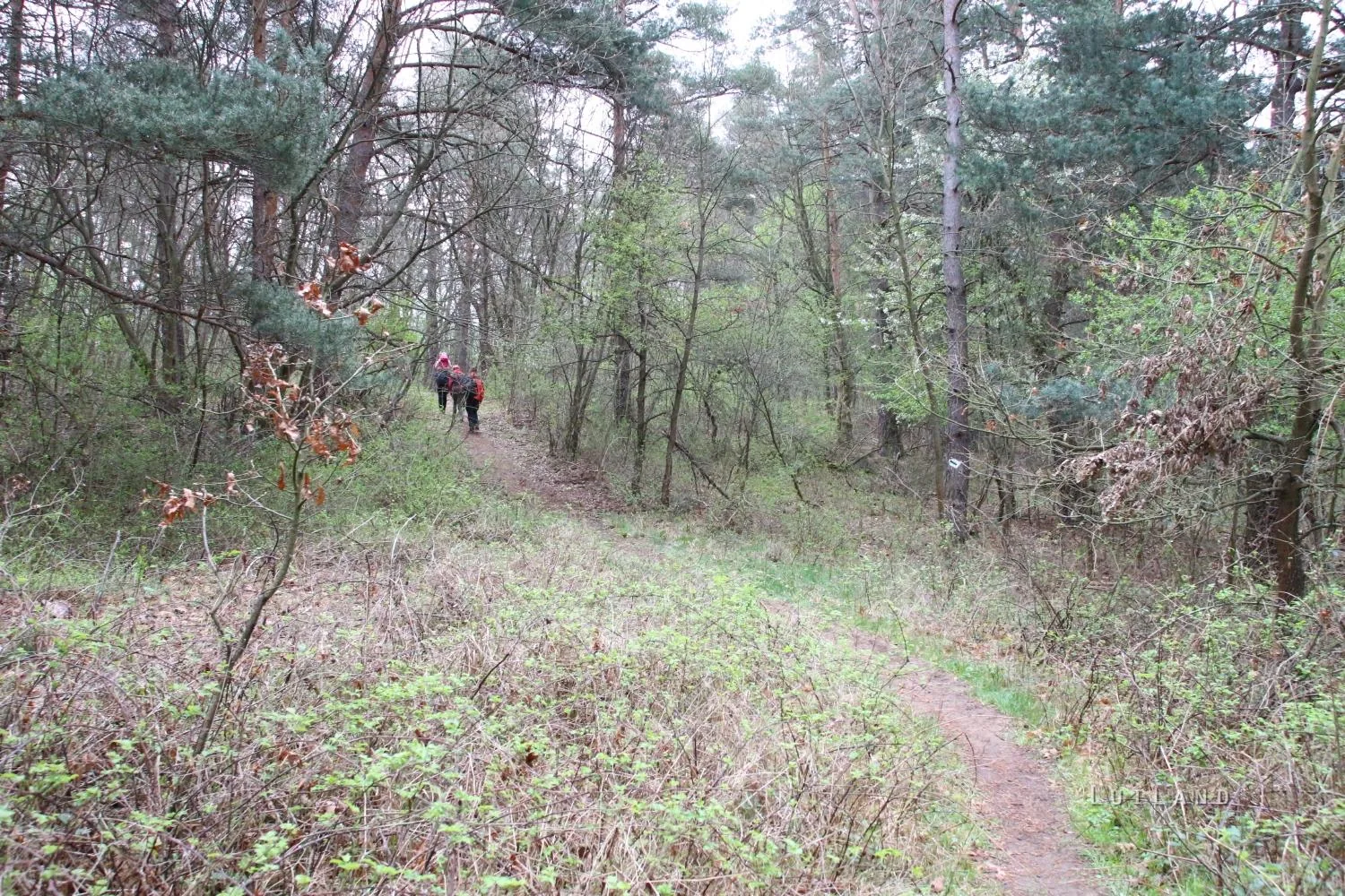 Fotók és kisfilm: Útirány.hu