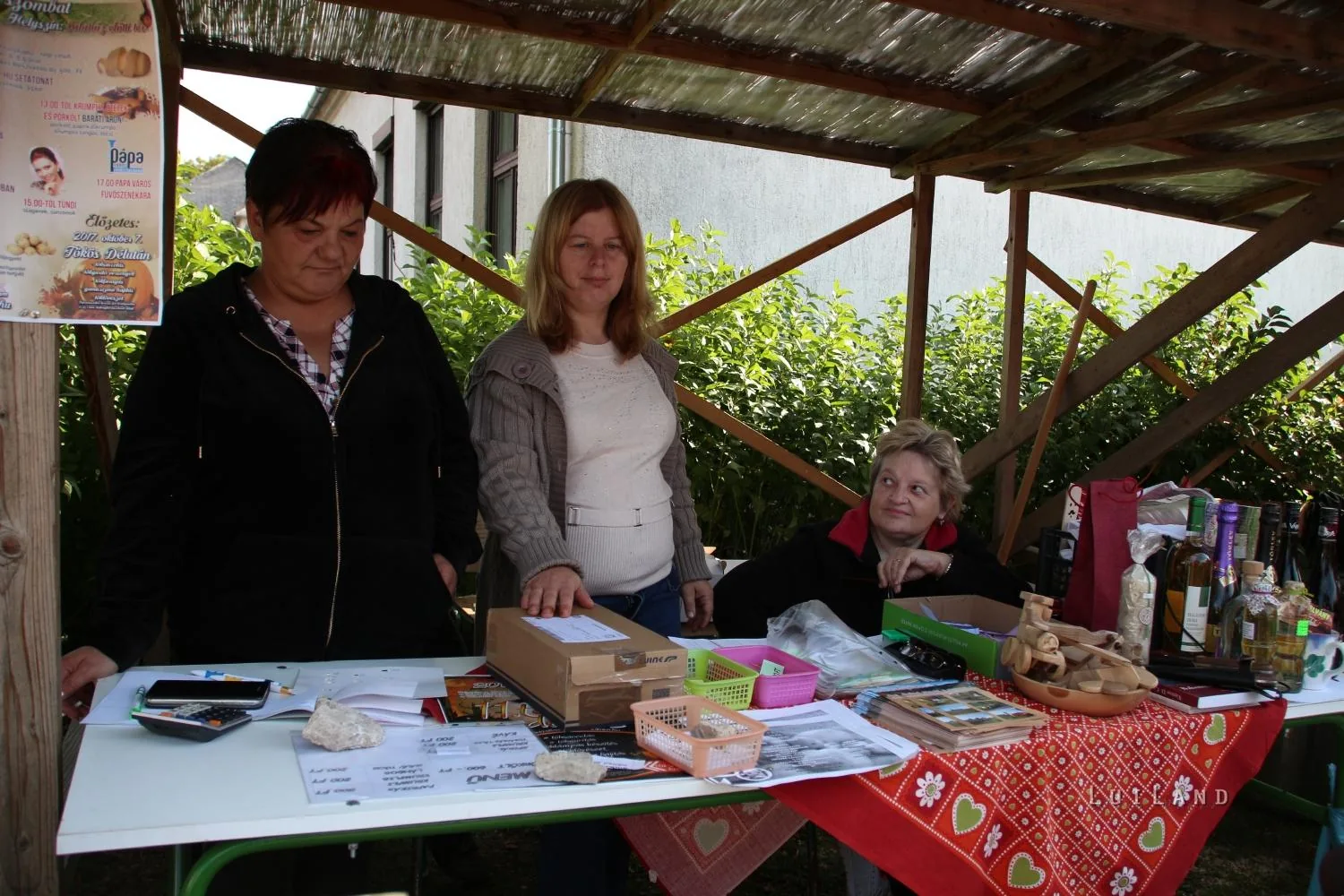 Kora délután, fotók: BakonyiHírek