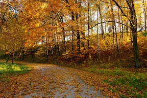 Fotó: Pesty Márton