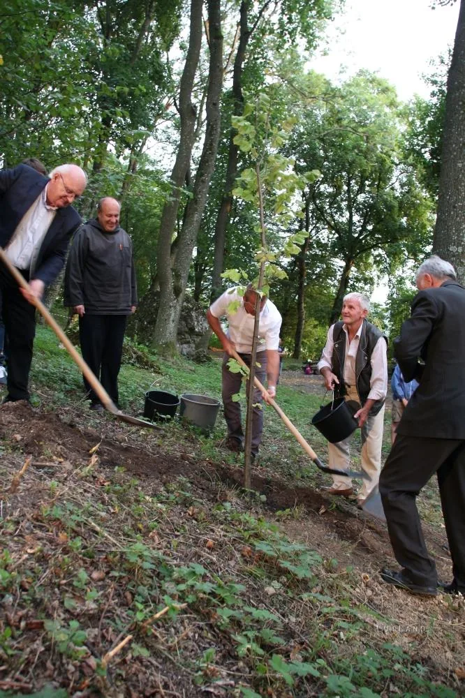 Fotók: BakonyiHírek