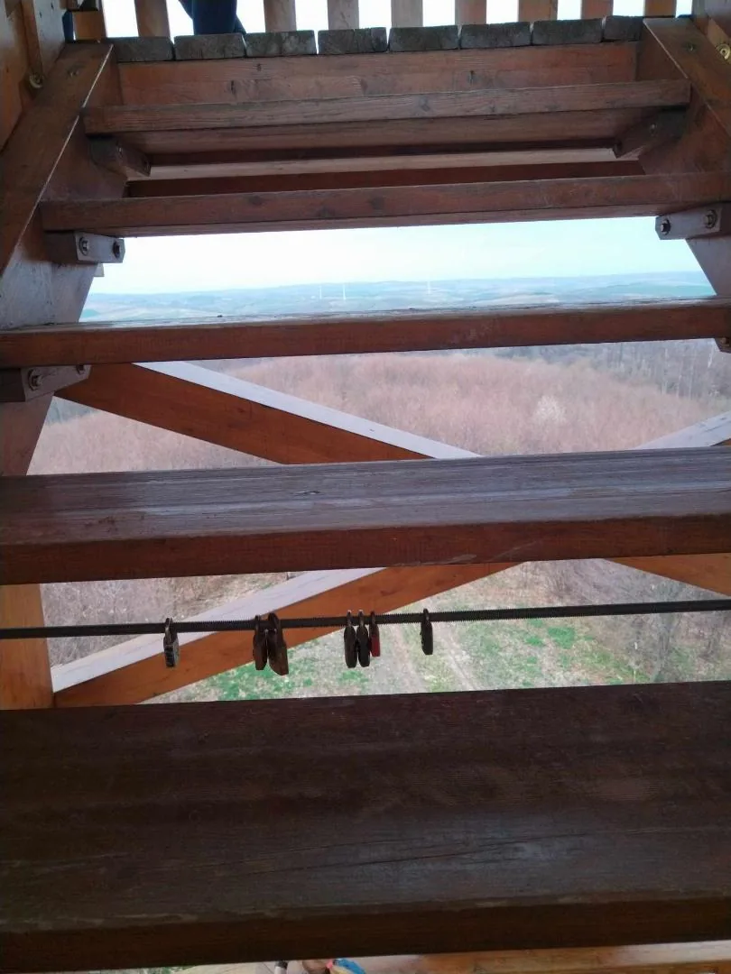 Fotók, Vadon Vándorai 