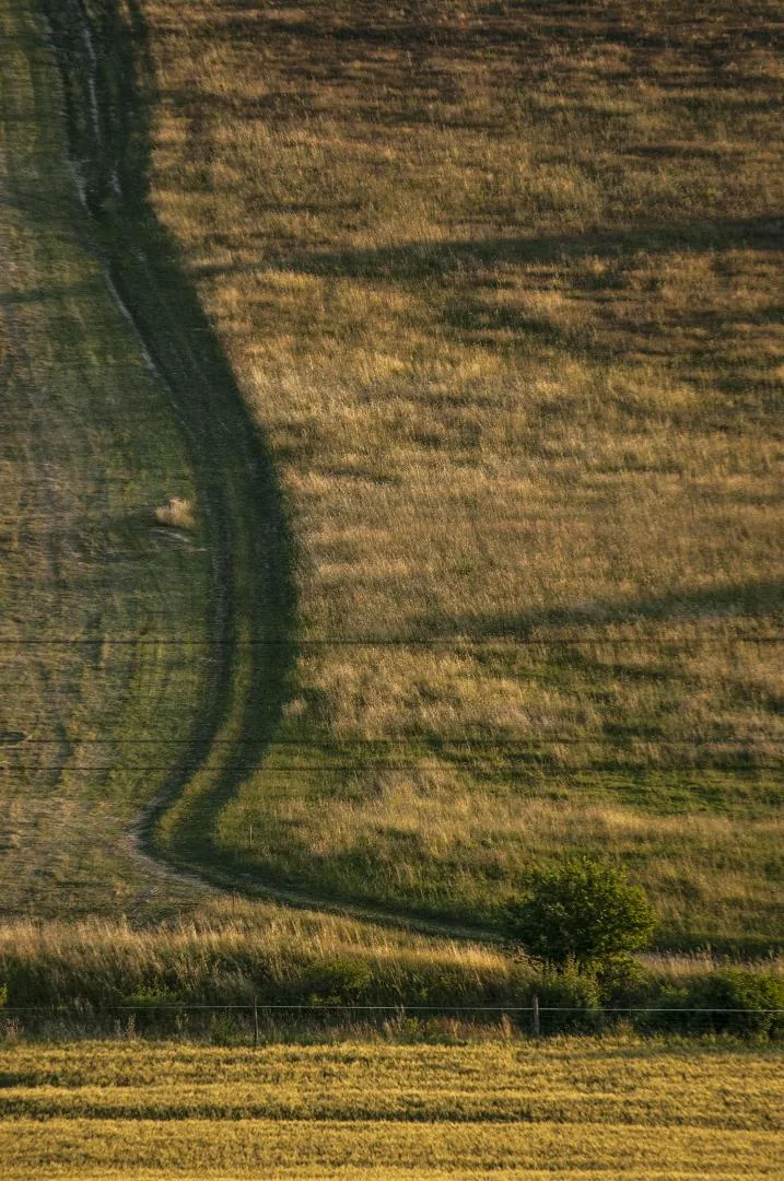 Fotó: Pesty Márton