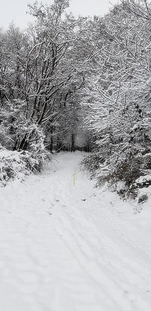 2018 tájfutás képekben