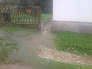 Gerence Pénzesgyőr 2018.09.04.