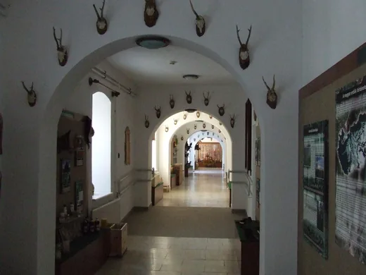 'Erdészeti Múzeum' cikk borítóképe