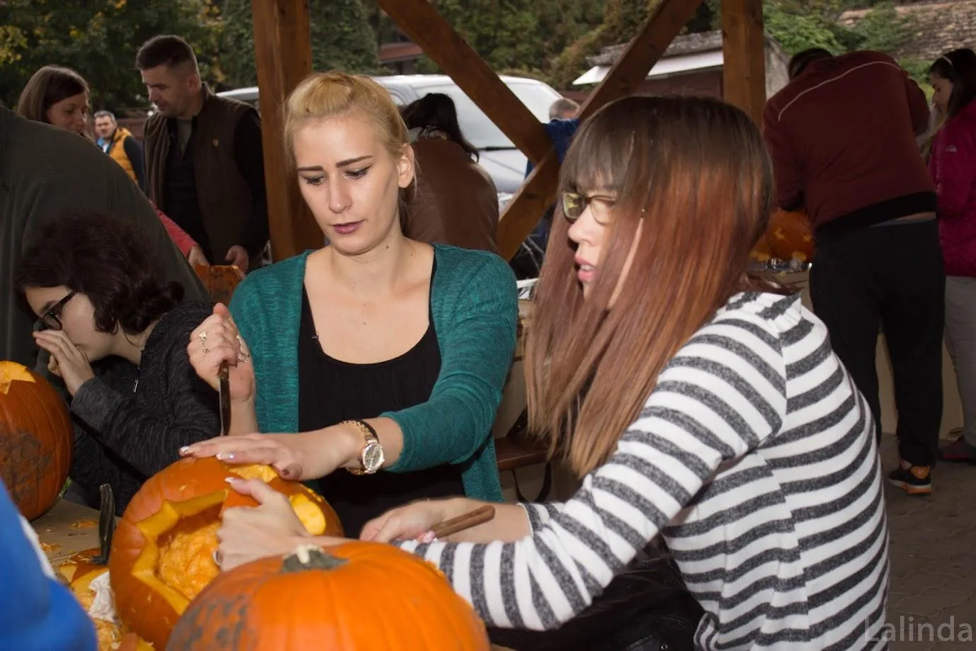 Fotók 2 album: Babai Lalinda