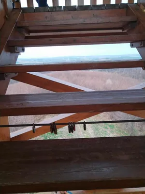 Fotók, Vadon Vándorai 