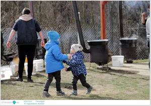 III. Hagyományos disznótor / Képek: Útirány.hu