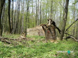 Noszlopy-kunyhó romja borítóképe