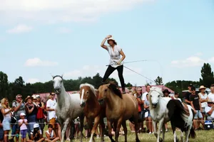 2019 Bakonyi Vágta. Fotók: Útirány.hu