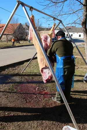 Fotók: Útirány.hu