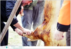 Fotók, Útirány.hu