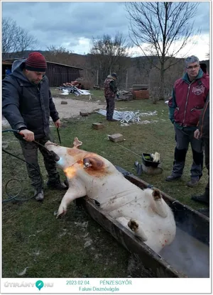 Fotók: Pénzesgyőr Önkormányzat