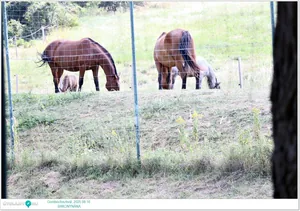 Fotók: Útirány.hu