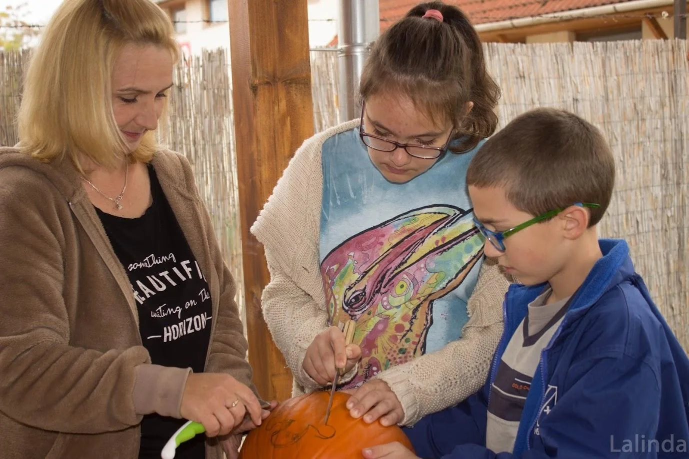 Fotók 1 album: Babai Lalinda