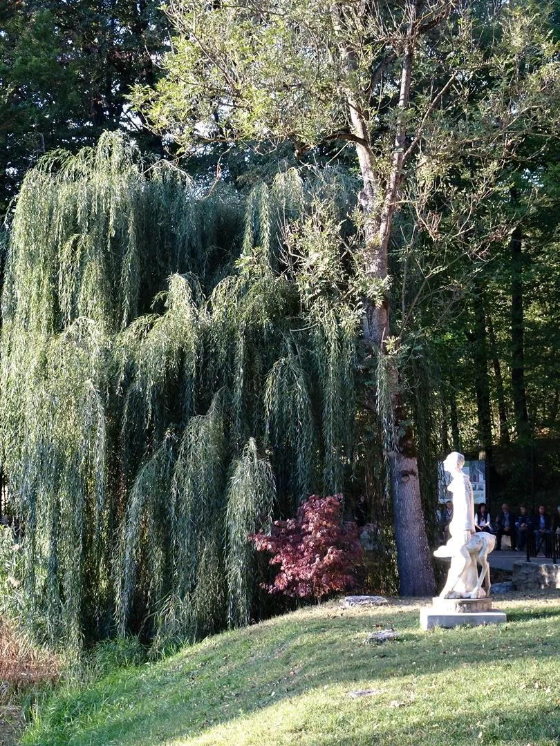 Képek a rendezvényről