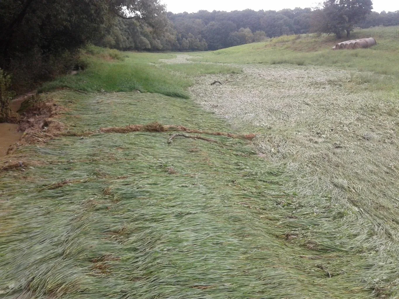 Gerence Pénzesgyőr 2018.09.04.