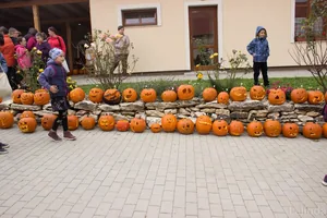 Fotók 2 album: Babai Lalinda