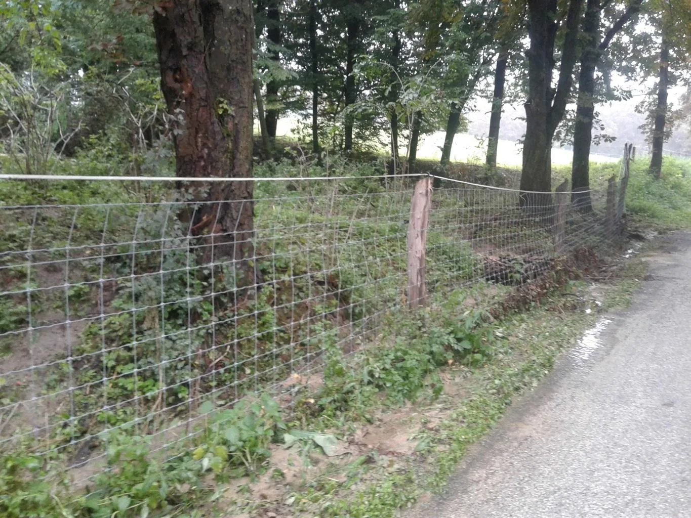 Gerence Pénzesgyőr 2018.09.04.