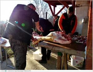 Fotók, Útirány.hu