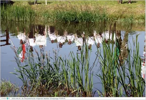 Fotók, Útirány.hu