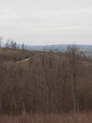 Fotók, Vadon Vándorai 