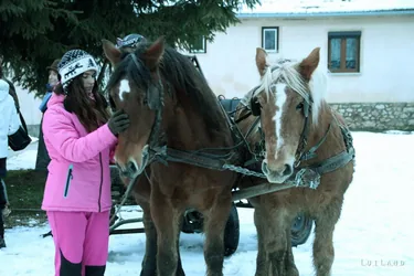 Farsangi Vigadalom a cseszneki Kisbükk majorban