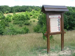 Képek (forrása internet)