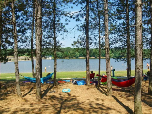 'Nagyteveli-tó' cikk borítóképe