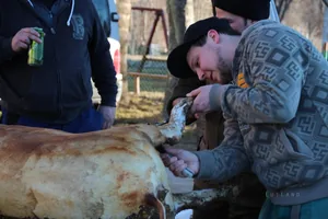 Fotók: Útirány.hu