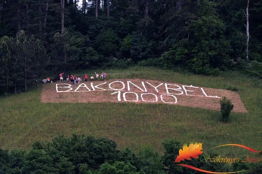 'Kőből rakott felirat Köves-hegy kopár lejtőjén' cikk borítóképe