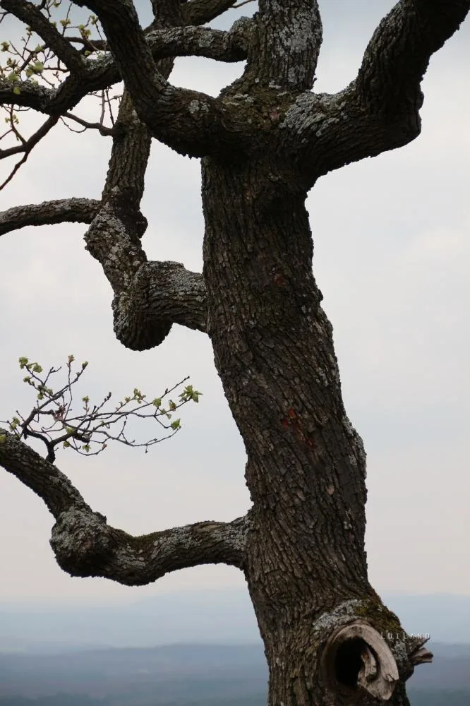 Fotók és kisfilm: Útirány.hu