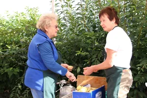 Kora délután, fotók: BakonyiHírek