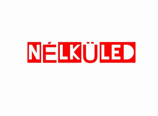 'Maradjon meg a dal nekünk "NÉLKÜLED"' cikk borítóképe