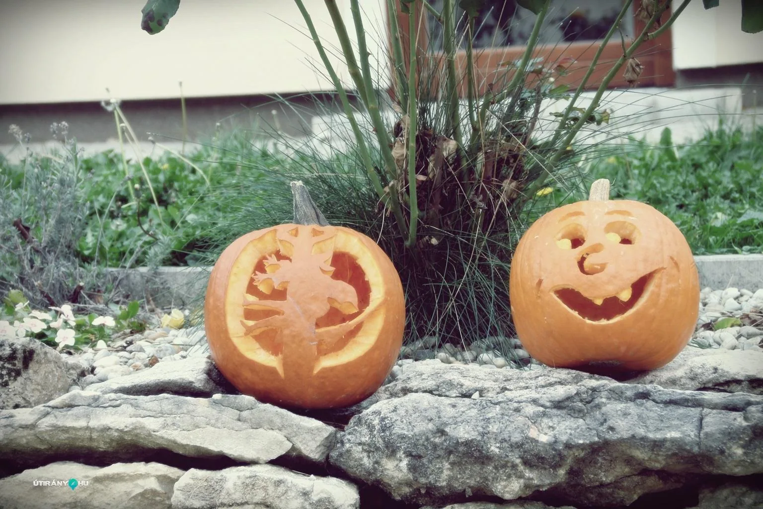 Tökfesztivál 2018. Fotók: Útirány.hu