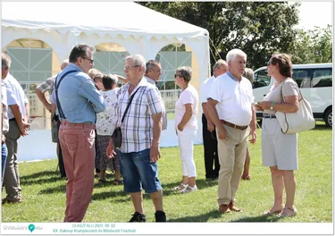 XX. Bakonyi Krumpliszüreti és Művészeti Fesztivál 2023