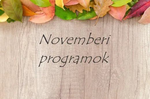 'Novemberi programok, Hajmáskér' cikk borítóképe