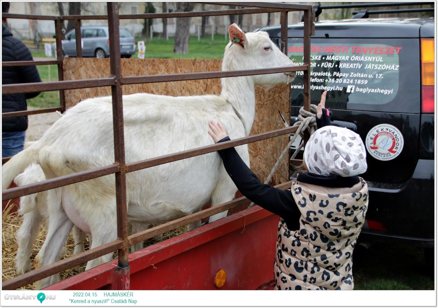Fotók az eseményről: