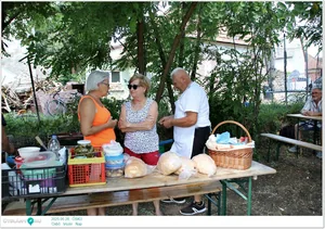 Parasztolimpia és főzés