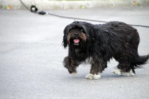 Maradj Otthon: Petőfi Színház előadása / Fotók: Útirány.hu