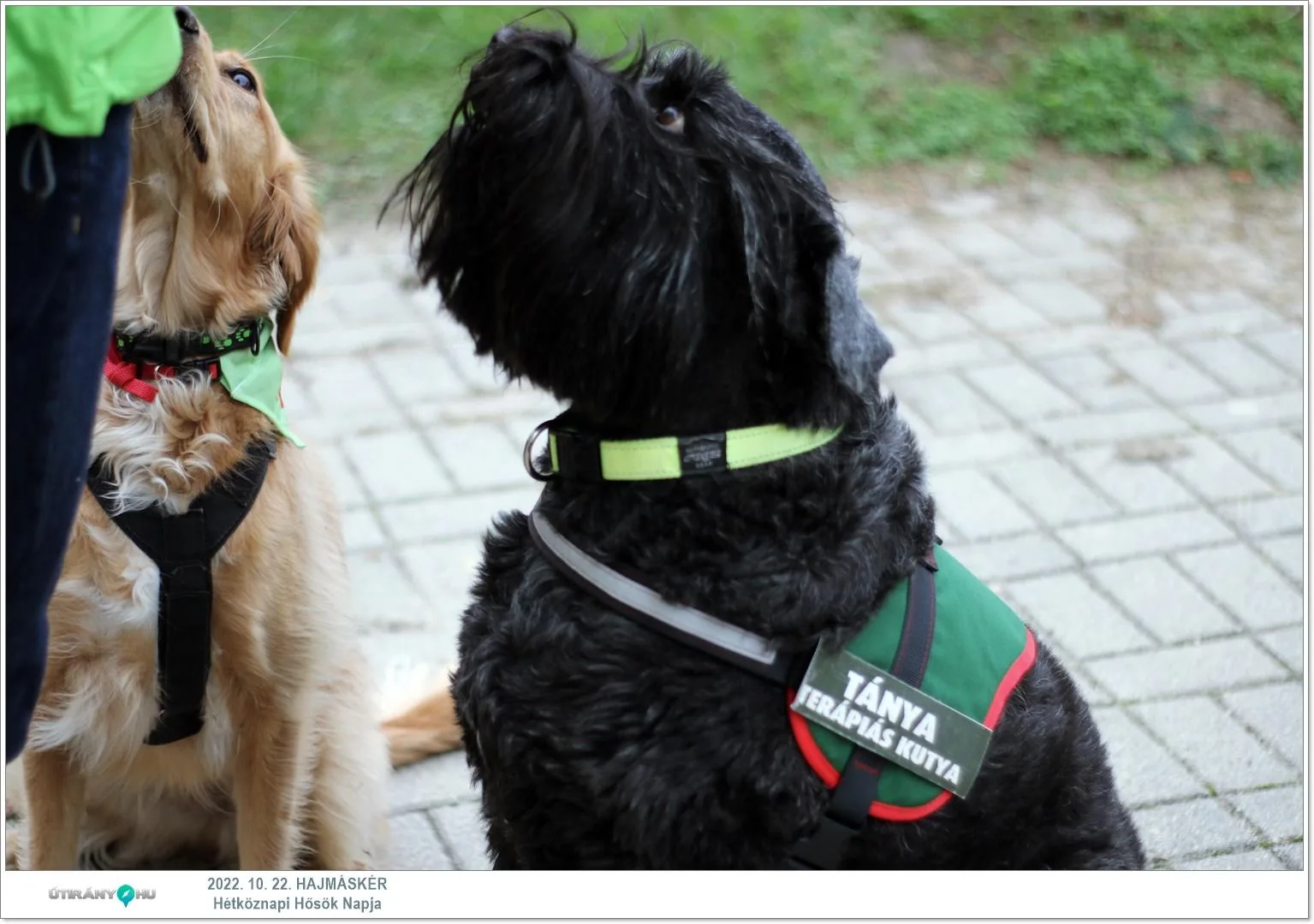 Fotók, Útirány.hu