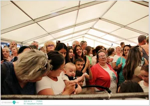 Képek: Útiárny.hu