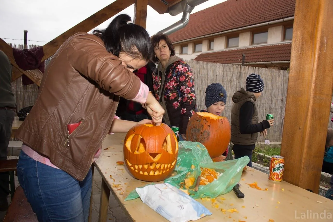 Fotók 2 album: Babai Lalinda