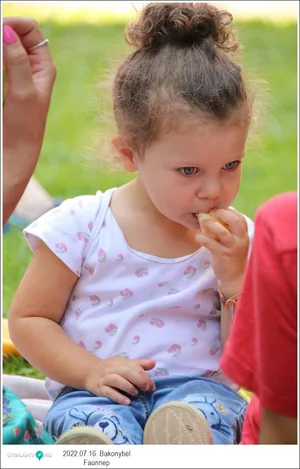 Fotók, Útirány.hu: