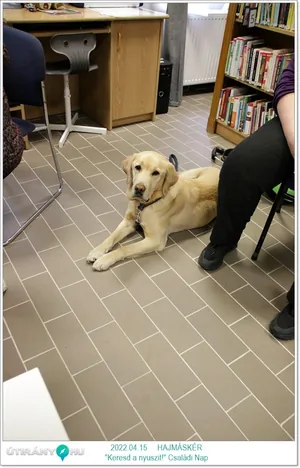 Fotók az eseményről: