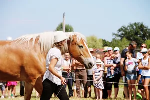 2019 Bakonyi Vágta. Fotók: Útirány.hu