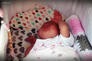 Falunap 2019 / Fotók: Útirány.hu