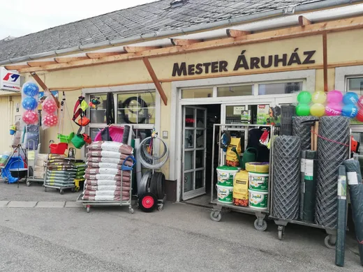 'Mester Áruház ' cikk borítóképe