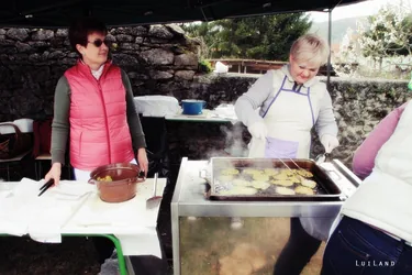 12. Medvehagymás napok