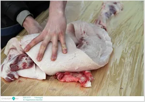 III. Hagyományos disznótor / Képek: Útirány.hu